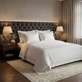 Tofa Egyptian Cotton Bed Sheet Set
